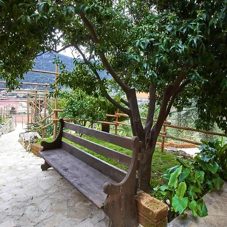 Rivierarent Limone *